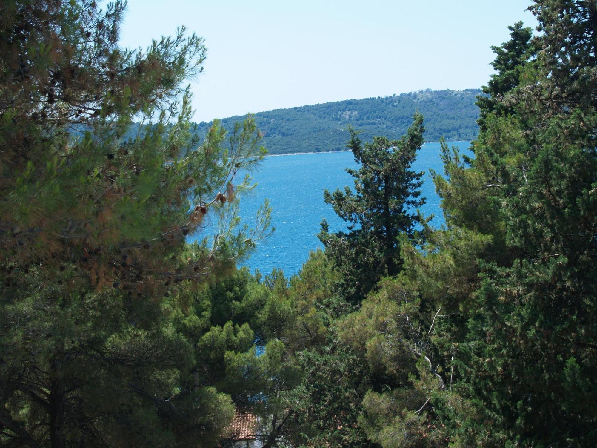 Fani - In * Trogir