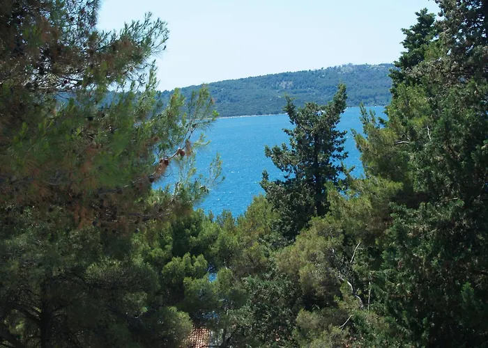 Villa Fani - Apartments In Trogir